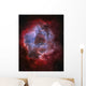 Ngc 2237 Rosette Nebula Wall Decal