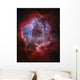 Ngc 2237 Rosette Nebula Wall Decal