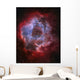 Ngc 2237 Rosette Nebula Wall Decal