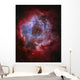 Ngc 2237 Rosette Nebula Wall Decal