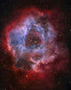 Ngc 2237 Rosette Nebula Wall Decal