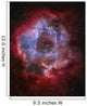 Ngc 2237 Rosette Nebula Wall Decal