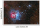Trifid Nebula and Messier Wall Decal