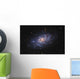 Messier 33 Triangulum Galaxy Wall Decal