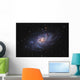 Messier 33 Triangulum Galaxy Wall Decal