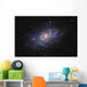 Messier 33 Triangulum Galaxy Wall Decal