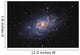 Messier 33 Triangulum Galaxy Wall Decal