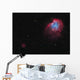 Monkey Head Nebula and Wall Decal