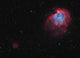 Monkey Head Nebula and Wall Decal