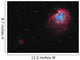 Monkey Head Nebula and Wall Decal