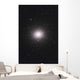 Ngc 5139 Omega Centauri Wall Decal
