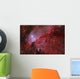 Star Forming Emission Nebula Ngc Wall Decal
