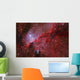 Star Forming Emission Nebula Ngc Wall Decal