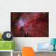 Star Forming Emission Nebula Ngc Wall Decal