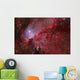 Star Forming Emission Nebula Ngc Wall Decal