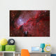 Star Forming Emission Nebula Ngc Wall Decal