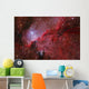 Star Forming Emission Nebula Ngc Wall Decal