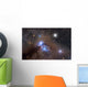 Galactic Dust Cloud Ngc Wall Decal