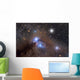 Galactic Dust Cloud Ngc Wall Decal
