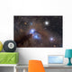 Galactic Dust Cloud Ngc Wall Decal