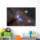 Galactic Dust Cloud Ngc Wall Decal