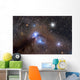 Galactic Dust Cloud Ngc Wall Decal