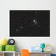 Ngc 457 Owl Cluster Wall Decal