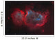 Interstellar Embryo Ic 1848 Wall Decal