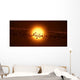 Young Star Circled Debris Wall Decal