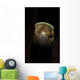 Ring Debris around Extraterrestrial Wall Decal