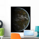 Partially Lit Terrestrial World Wall Decal
