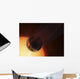 Artist's Concept Hot Jupiter Wall Decal Design 1