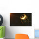 Ancient Earth Impact Wall Decal