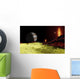 Volcanic Activity Jupiter's Moon Wall Decal