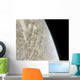 Illustration Planet Venus Wall Decal