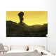 Surface Infernal Planet Venus Wall Decal