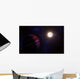 Artist's Concept Kepler-11 Planetary Wall Decal