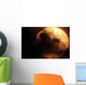 Venus Transiting Front Sun Wall Decal Design 3
