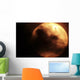 Venus Transiting Front Sun Wall Decal Design 3