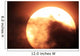 Venus Transiting Front Sun Wall Decal Design 2