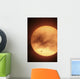 Venus Transiting Front Sun Wall Decal Design 1