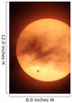 Venus Transiting Front Sun Wall Decal Design 1