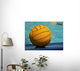 Water Polo Series Wall Decal