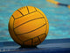 Water Polo Series Wall Decal