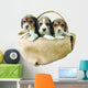 three beagle puppies Wall Decal