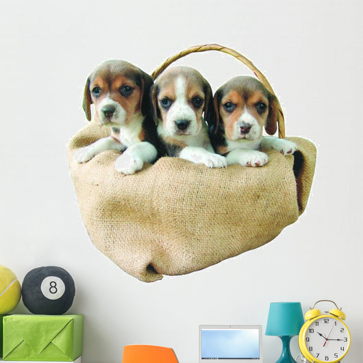 three beagle puppies Wall Decal