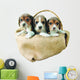 three beagle puppies Wall Decal