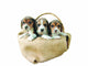 three beagle puppies Wall Decal