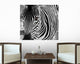 zebra Wall Mural