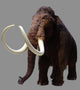 Mammoth Wall Decal
